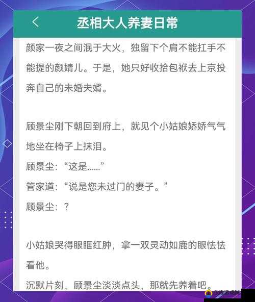 清冷丞相每天被爆炒免费阅读：一部令人欲罢不能的精彩小说